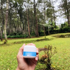 Aniiqun Glow Up Day Cream with UV Protection